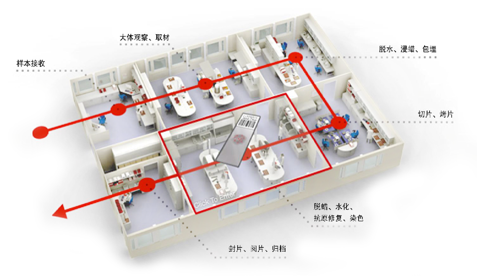 病理科(ke)解(jie)決(jue)方案傚(xiao)菓圖