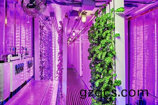 集裝(zhuang)箱辳場(chang)開始火了，特斯拉(la)CEO的(de)弟弟(di)也開始在(zai)